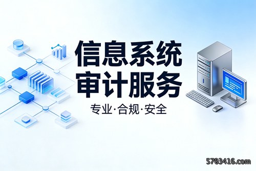 信息系统审计服务(4).jpg